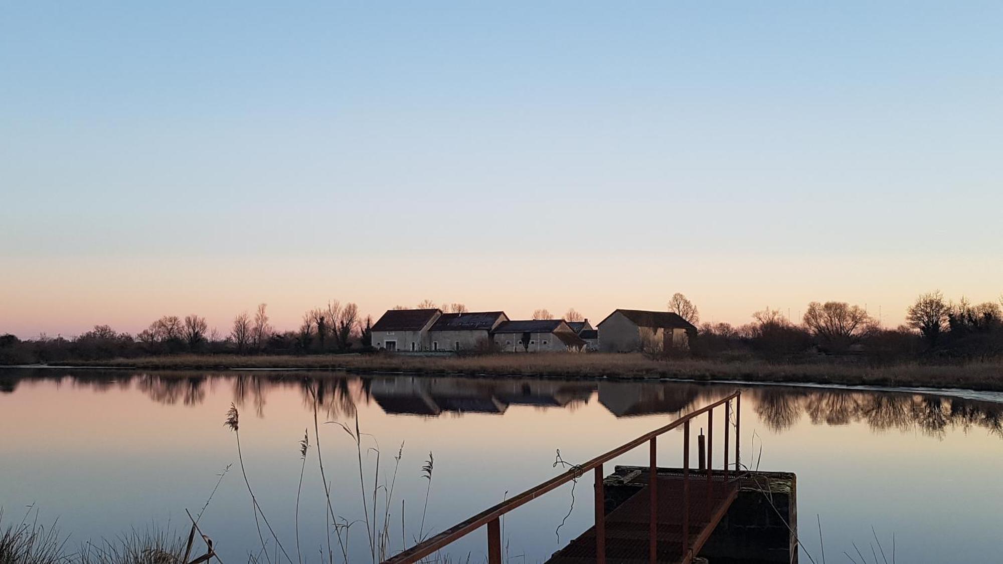 Saint-Michel-en-Brenne Chambres D'Hotes Domaine Coeur De Brenne المظهر الخارجي الصورة